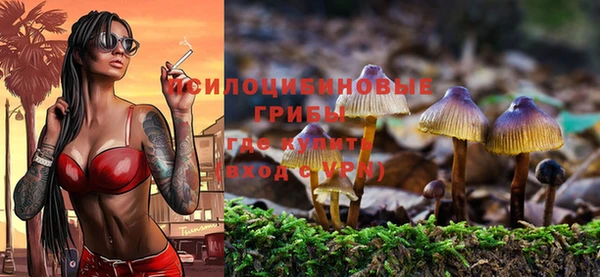 сатива Абаза