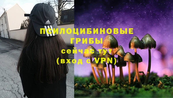 сатива Абаза